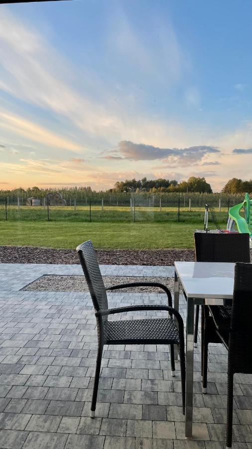 Apartamenty Wilga Spokojne Miejsce Z Calorocznym Jacuzzi I Letnim Basenem 维尔加 外观 照片