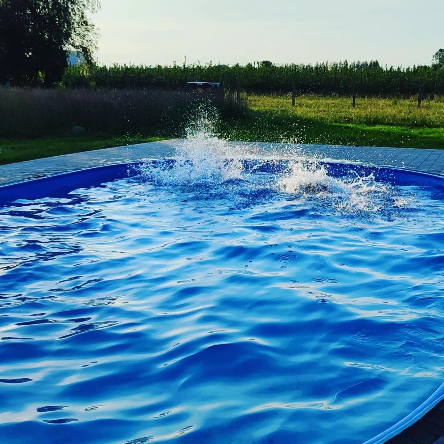Apartamenty Wilga Spokojne Miejsce Z Calorocznym Jacuzzi I Letnim Basenem 维尔加 外观 照片